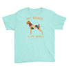 my boxer is my world Youth Tee