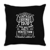 Vintage 1970 Throw Pillow