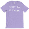 what do you mean 2016 tour T-Shirt