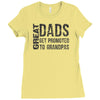 great dad get promoted to granpas Ladies Fitted T-Shirt