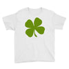 irish (2) Youth Tee
