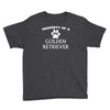 property of a golden retriever Youth Tee