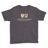 a bartender is just a pharmacist with a limited inventory Youth Tee