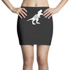 Teachersaurus Mini Skirts