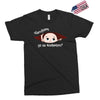 Disculpame Ya Es Noviembre? Exclusive T-shirt
