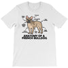 anatomy T-Shirt