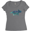Prince Dinosaur Women's Triblend Scoop T-shirt