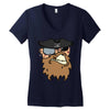 pirates face Women's V-Neck T-Shirt