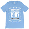 vintage made in 1987 perfectly aged a living legend T-Shirt