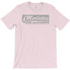tv t shirt inspired by true blood   merlottes T-Shirt