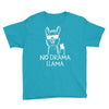 no drama llama Youth Tee