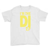 im a dj graphic tee mens Youth Tee