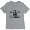 the best dad V-Neck Tee