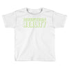 question reality Toddler T-shirt