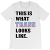This is What Trans Looks Like T-Shirt