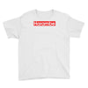 harambe gorilla Youth Tee