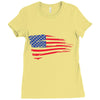 united states of america Ladies Fitted T-Shirt
