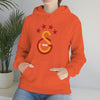 test Unisex Heavy Blend™ Hooded Sweatshirt