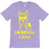 no drama llama (2) T-Shirt