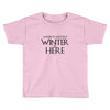 Winter (f80) Toddler T-shirt