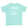 trig or treat1 Youth Tee