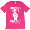 introverts unite separately in your own homes T-Shirt