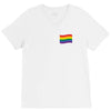 LGBT Pocket V-Neck Tee