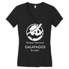 galapagos islands trending Women's V-Neck T-Shirt