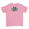 mckinley high mathletes Youth Tee