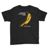 the velvet underground rock music band Youth Tee