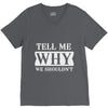 tell me why we shouldn't V-Neck Tee