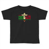 cinco de mayo 2018 party Toddler T-shirt