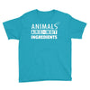 Animals Are Not Ingredients Youth Tee