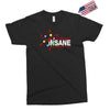 i am not insane inspired by the big bang theory, ideal birthday Exclusive T-shirt