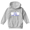 love comes from where Youth Hoodie