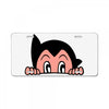 astro2 License Plate