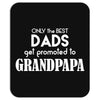Only the best Dads Get Promoted to Grandpapa Mousepad