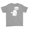 ghost of disapproval Youth Tee