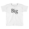 big (2) Toddler T-shirt