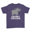 chubby unicorn rhino Youth Tee