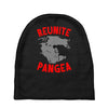 reunite pangea Baby Beanies