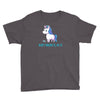 don't dream it, do it Youth Tee