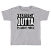 straight outta pleasant parks Toddler T-shirt