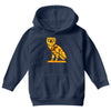 owl Youth Hoodie