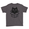 cats love boxes Youth Tee
