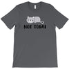 Cat Says Not Today T-Shirt