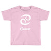 cancer zodiac Toddler T-shirt
