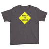 belly on board beer Youth Tee
