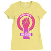 she persisted Ladies Fitted T-Shirt