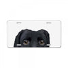 Dog2 License Plate